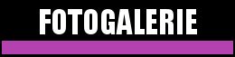 Odkaz fotogalerie